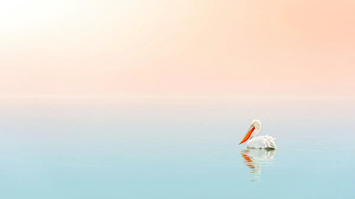 Image of a person meditating with a serene background to represent the power of positive affirmations.